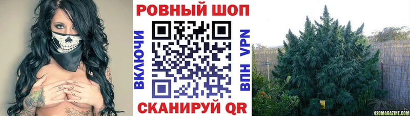 Как найти закладки Гдов КОКАИН 