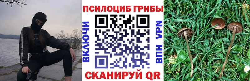 Галлюциногенные грибы Psilocybine cubensis  где купить наркотик  Гдов 